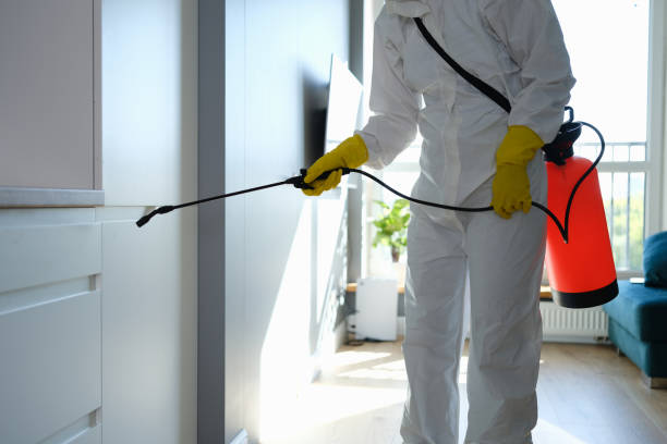 Best Mold Remediation  in Inglis, FL